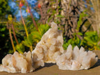 Natural Drusy Fairy Spirit Quartz Clusters x 12 From Boekenhouthoek, South Africa - Toprock Gemstones and Minerals 