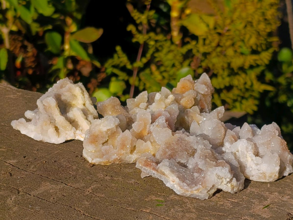 Natural Drusy Fairy Spirit Quartz Clusters x 12 From Boekenhouthoek, South Africa - Toprock Gemstones and Minerals 