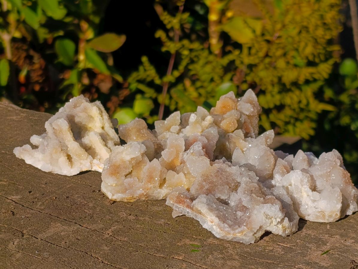 Natural Drusy Fairy Spirit Quartz Clusters x 12 From Boekenhouthoek, South Africa - Toprock Gemstones and Minerals 