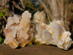 Natural Drusy Fairy Spirit Quartz Clusters x 12 From Boekenhouthoek, South Africa - Toprock Gemstones and Minerals 