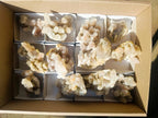 Natural Drusy Fairy Spirit Quartz Clusters x 12 From Boekenhouthoek, South Africa - Toprock Gemstones and Minerals 