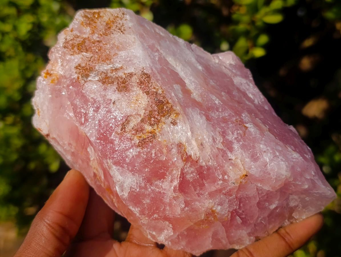 Natural Cobbed Rose Quartz Specimens x 7 From Northern Cape, South Africa - Toprock Gemstones and Minerals 