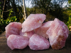 Natural Cobbed Rose Quartz Specimens x 7 From Northern Cape, South Africa - Toprock Gemstones and Minerals 