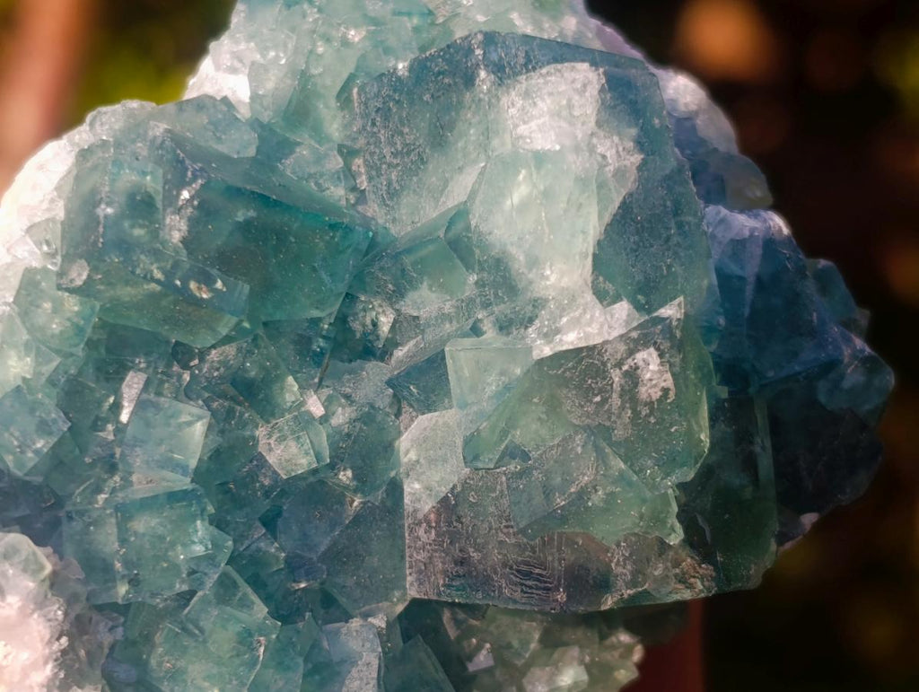 Natural Green Cubic Fluorite Specimens x 6 From Mandrosonoro, Madagascar - Toprock Gemstones and Minerals 
