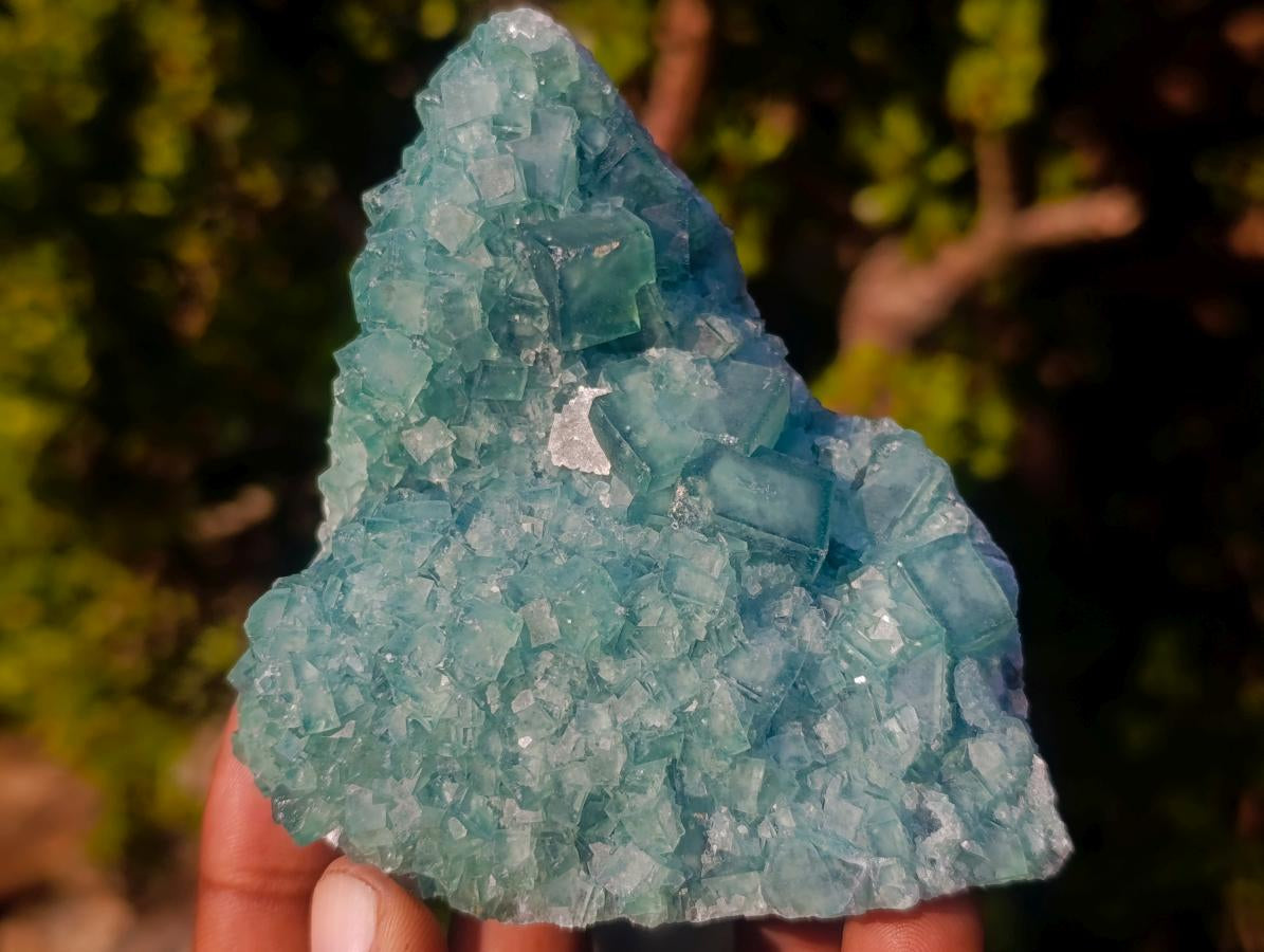 Natural Green Cubic Fluorite Specimens x 6 From Mandrosonoro, Madagascar - Toprock Gemstones and Minerals 