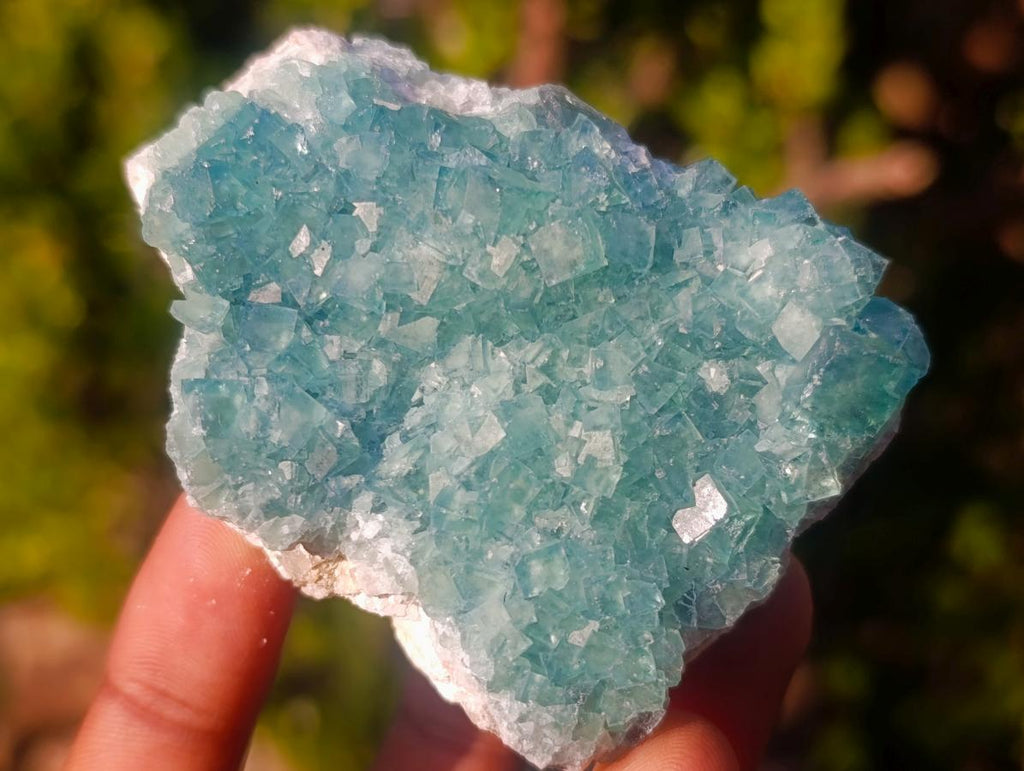 Natural Green Cubic Fluorite Specimens x 6 From Mandrosonoro, Madagascar - Toprock Gemstones and Minerals 