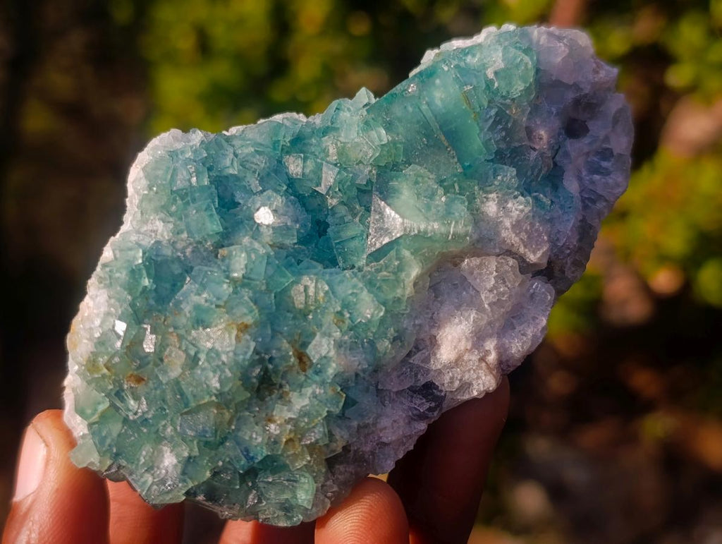 Natural Green Cubic Fluorite Specimens x 6 From Mandrosonoro, Madagascar - Toprock Gemstones and Minerals 