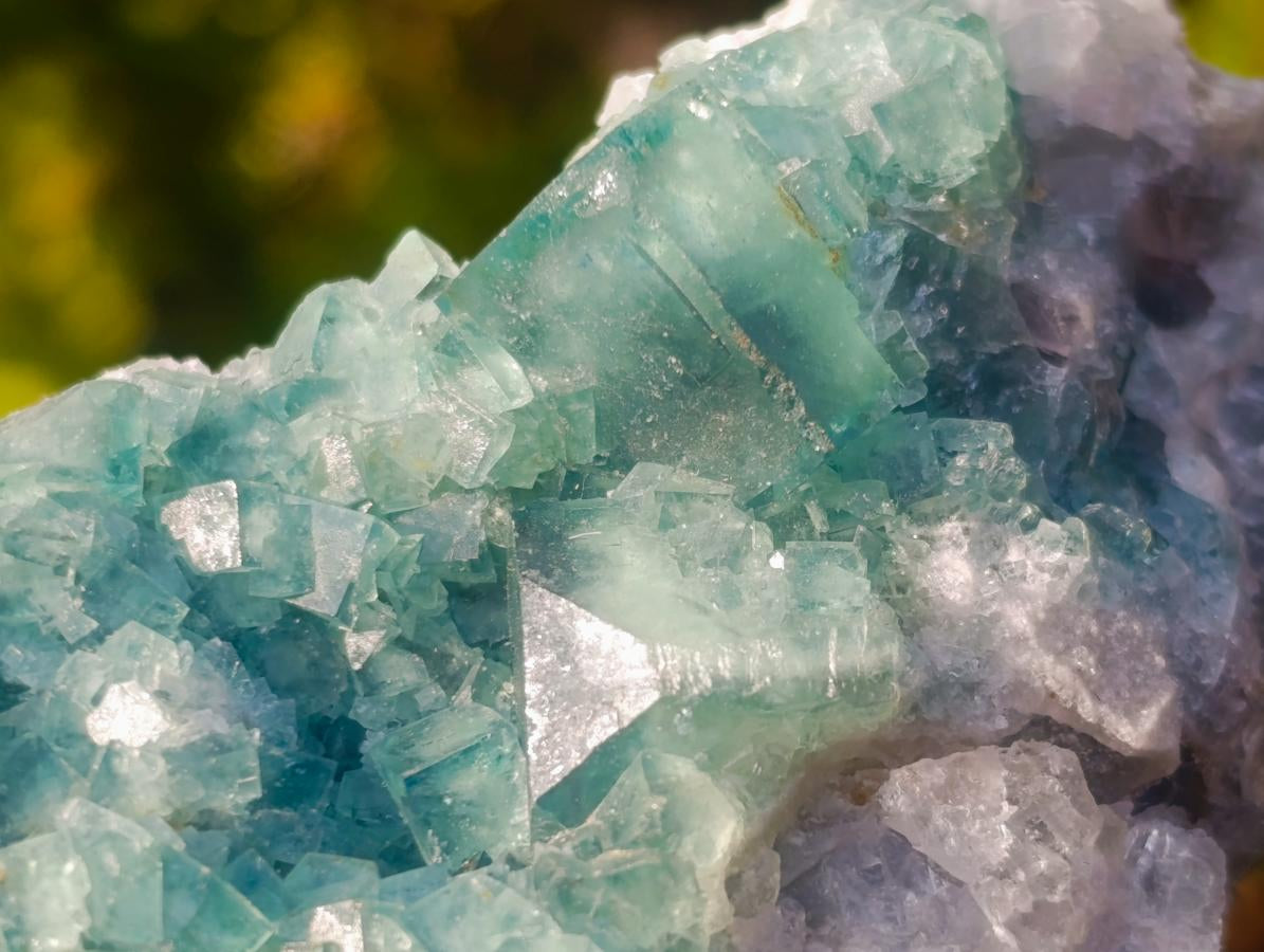 Natural Green Cubic Fluorite Specimens x 6 From Mandrosonoro, Madagascar - Toprock Gemstones and Minerals 