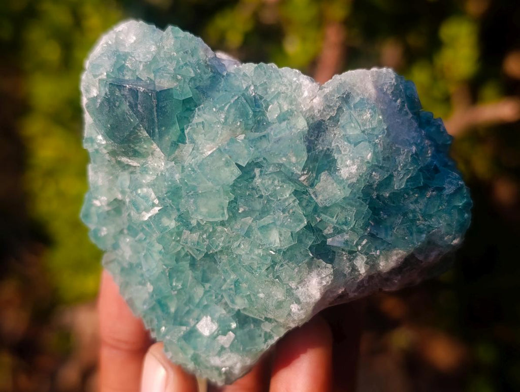 Natural Green Cubic Fluorite Specimens x 6 From Mandrosonoro, Madagascar - Toprock Gemstones and Minerals 