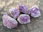 Natural Amethyst Clusters x 70 From Ambatondrazaka, Madagascar - Toprock Gemstones and Minerals 
