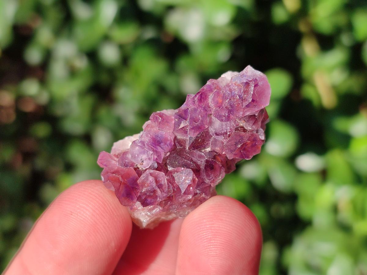 Natural Amethyst Clusters x 70 From Ambatondrazaka, Madagascar - Toprock Gemstones and Minerals 