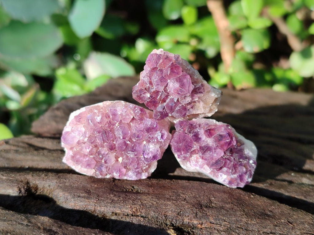Natural Amethyst Clusters x 70 From Ambatondrazaka, Madagascar - Toprock Gemstones and Minerals 
