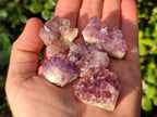 Natural Amethyst Clusters x 70 From Ambatondrazaka, Madagascar - Toprock Gemstones and Minerals 
