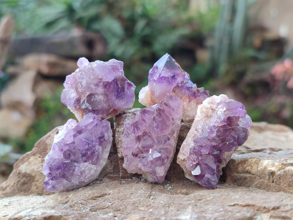 Natural Amethyst Clusters x 70 From Ambatondrazaka, Madagascar - Toprock Gemstones and Minerals 