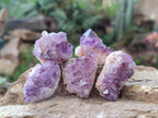 Natural Amethyst Clusters x 70 From Ambatondrazaka, Madagascar - Toprock Gemstones and Minerals 