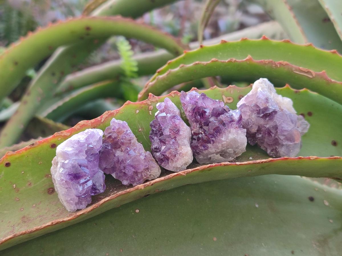 Natural Amethyst Clusters x 70 From Ambatondrazaka, Madagascar - Toprock Gemstones and Minerals 