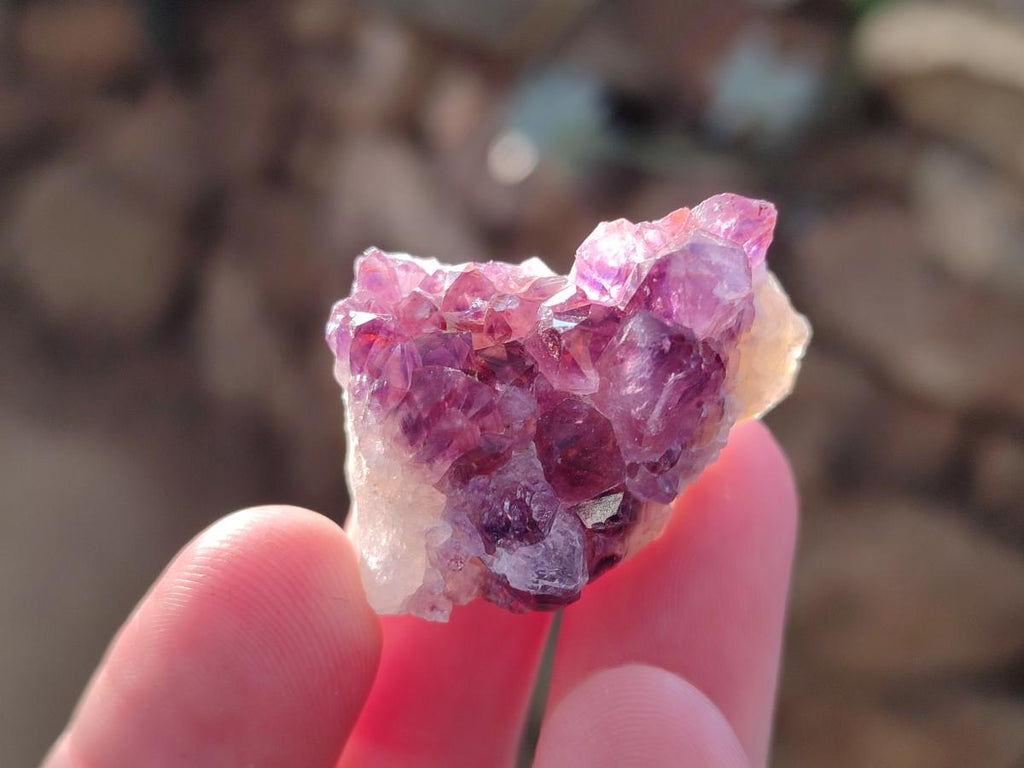 Natural Amethyst Clusters x 70 From Ambatondrazaka, Madagascar - Toprock Gemstones and Minerals 