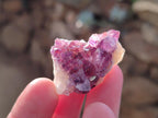 Natural Amethyst Clusters x 70 From Ambatondrazaka, Madagascar - Toprock Gemstones and Minerals 