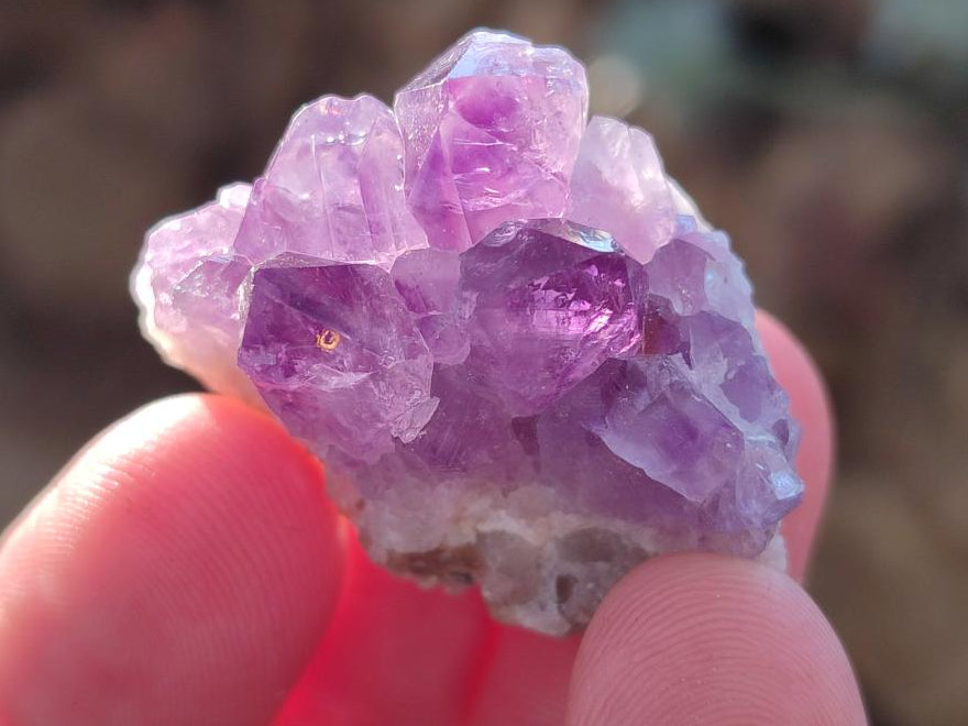Natural Amethyst Clusters x 70 From Ambatondrazaka, Madagascar - Toprock Gemstones and Minerals 
