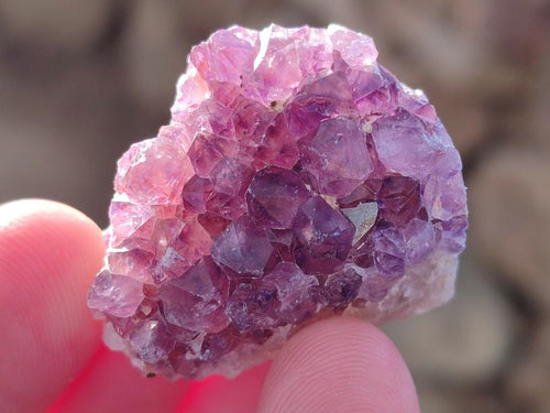 Natural Amethyst Clusters x 70 From Ambatondrazaka, Madagascar - Toprock Gemstones and Minerals 