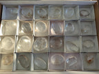 Polished Clear Quartz Galets x 24 From Madagascar - Toprock Gemstones and Minerals 