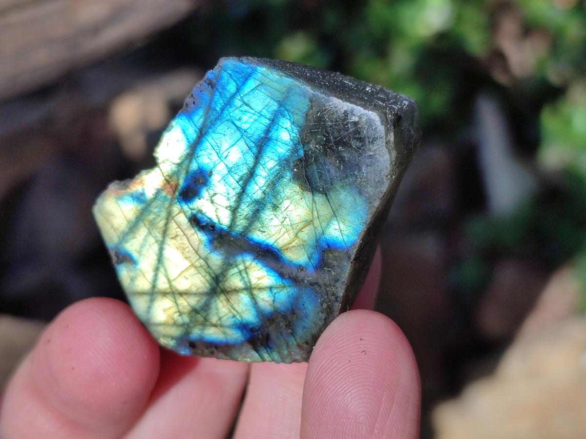 Polished One Side Labradorite Slices x 70 From Madagascar - Toprock Gemstones and Minerals 
