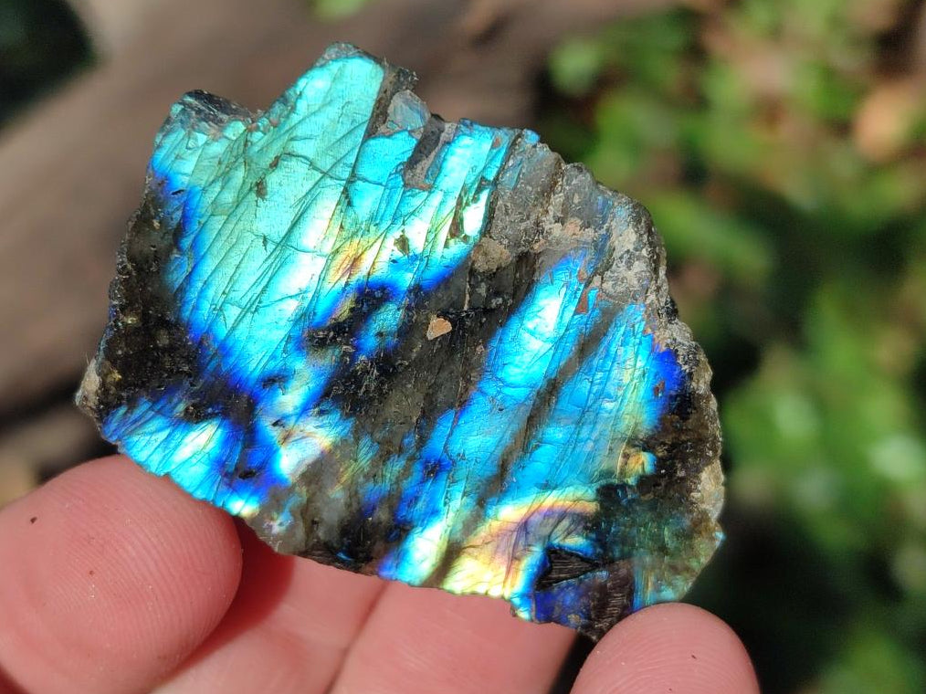 Polished One Side Labradorite Slices x 70 From Madagascar - Toprock Gemstones and Minerals 