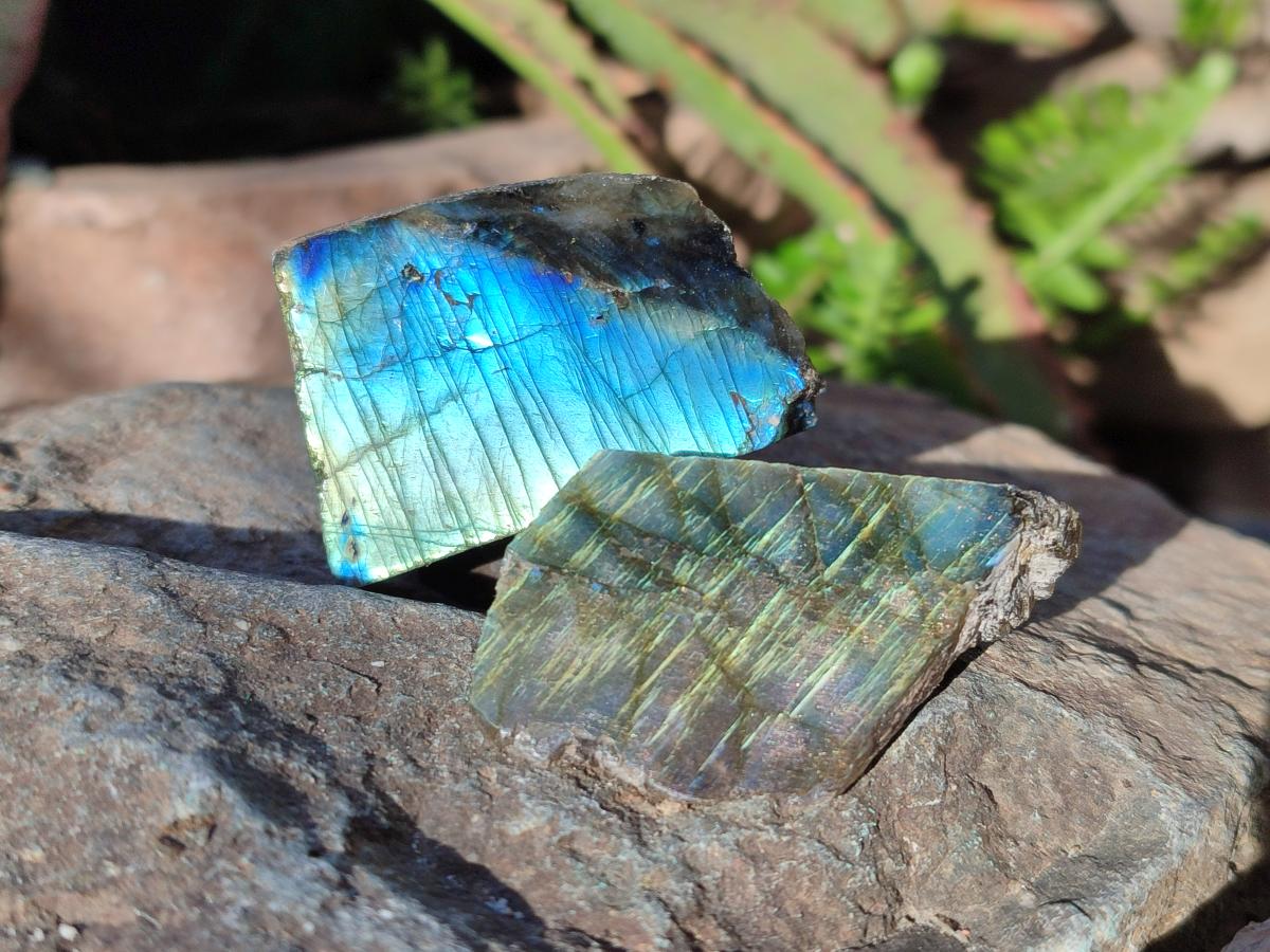 Polished One Side Labradorite Slices x 70 From Madagascar - Toprock Gemstones and Minerals 