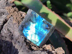 Polished One Side Labradorite Slices x 70 From Madagascar - Toprock Gemstones and Minerals 