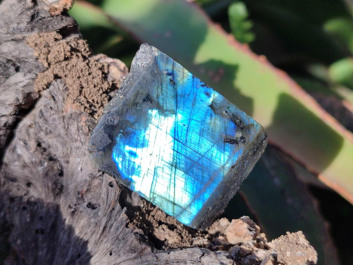 Polished One Side Labradorite Slices x 70 From Madagascar - Toprock Gemstones and Minerals 