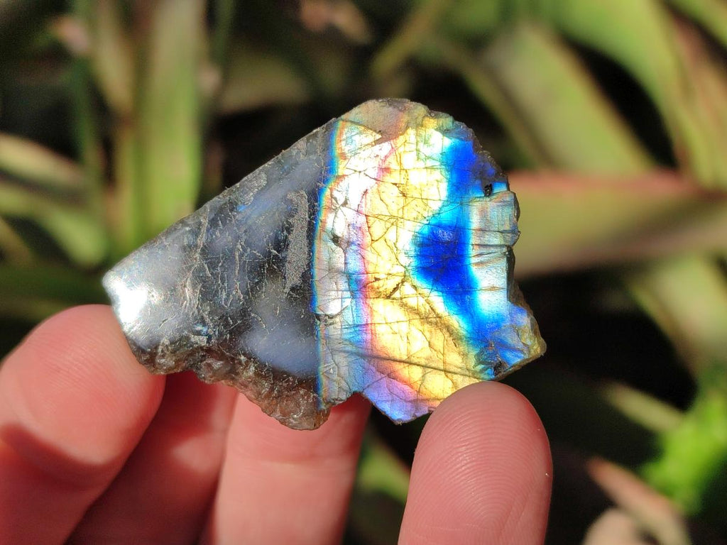 Polished One Side Labradorite Slices x 70 From Madagascar - Toprock Gemstones and Minerals 