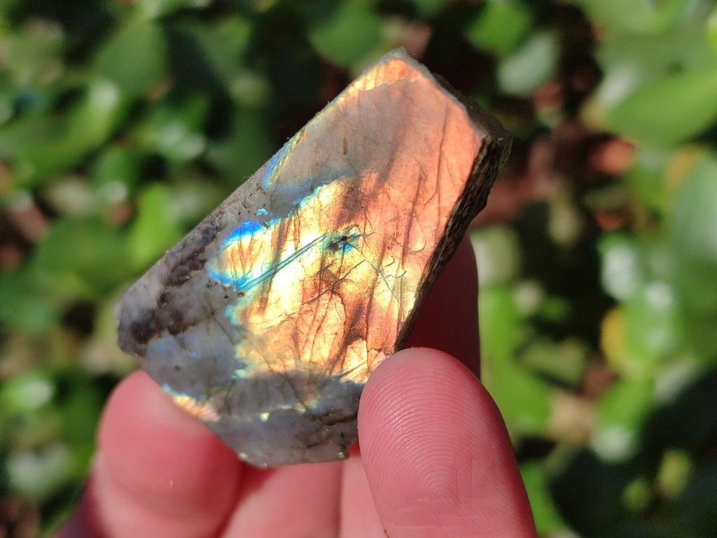 Polished One Side Labradorite Slices x 70 From Madagascar - Toprock Gemstones and Minerals 
