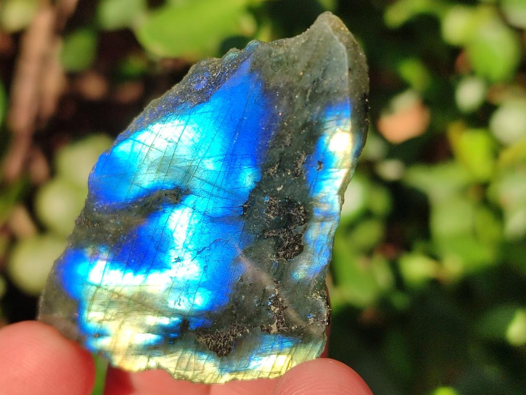 Polished One Side Labradorite Slices x 70 From Madagascar - Toprock Gemstones and Minerals 