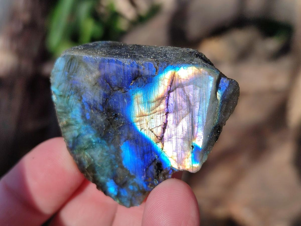 Polished One Side Labradorite Slices x 70 From Madagascar - Toprock Gemstones and Minerals 