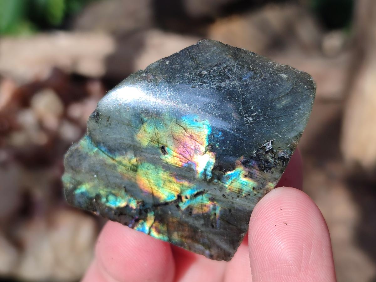 Polished One Side Labradorite Slices x 70 From Madagascar - Toprock Gemstones and Minerals 