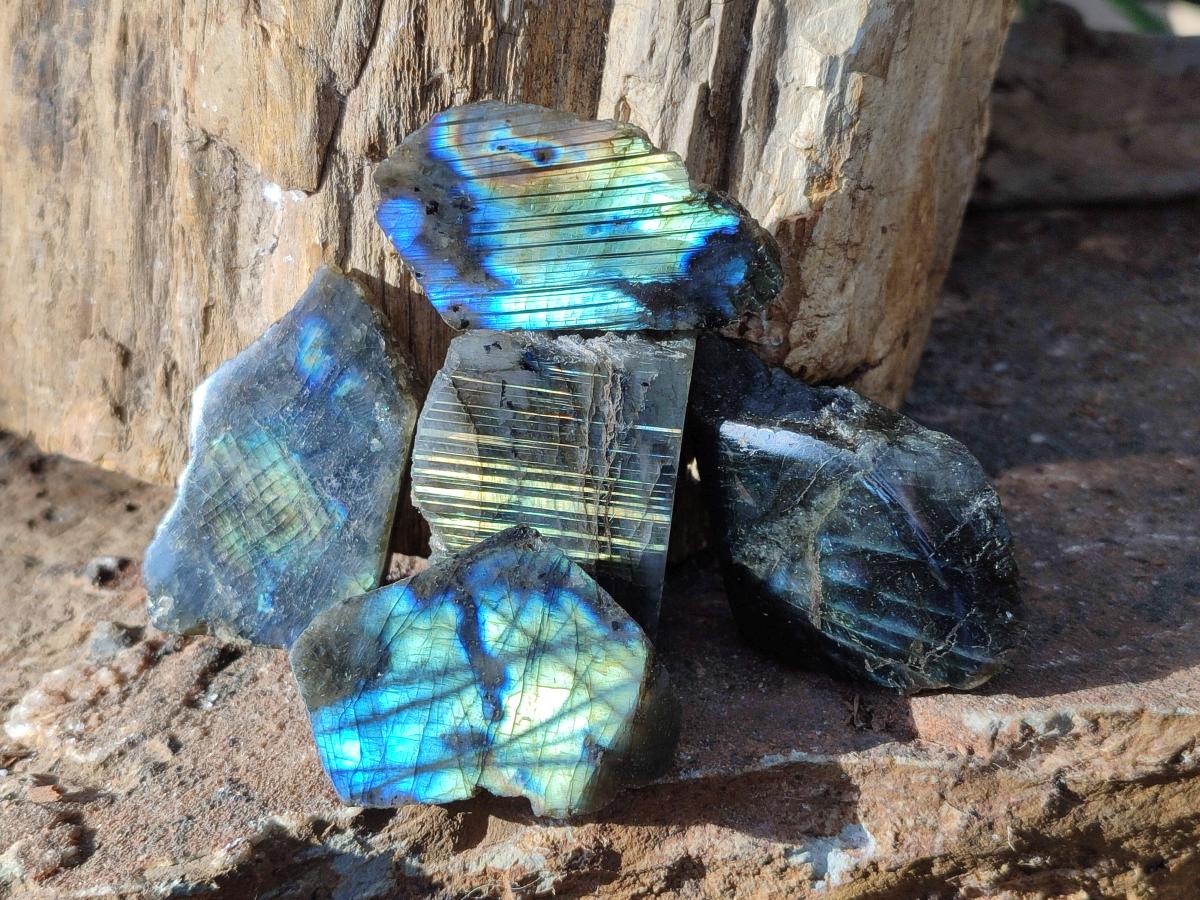 Polished One Side Labradorite Slices x 70 From Madagascar - Toprock Gemstones and Minerals 
