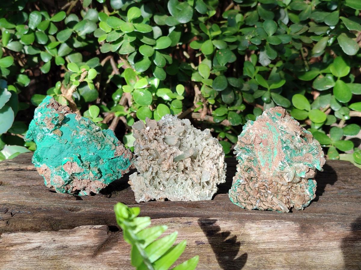Natural Rare Bladed Barite Specimens with Malachite x 3 From Shangulowé Mine, Congo - Toprock Gemstones and Minerals 