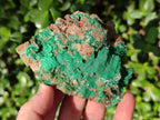 Natural Rare Bladed Barite Specimens with Malachite x 3 From Shangulowé Mine, Congo - Toprock Gemstones and Minerals 