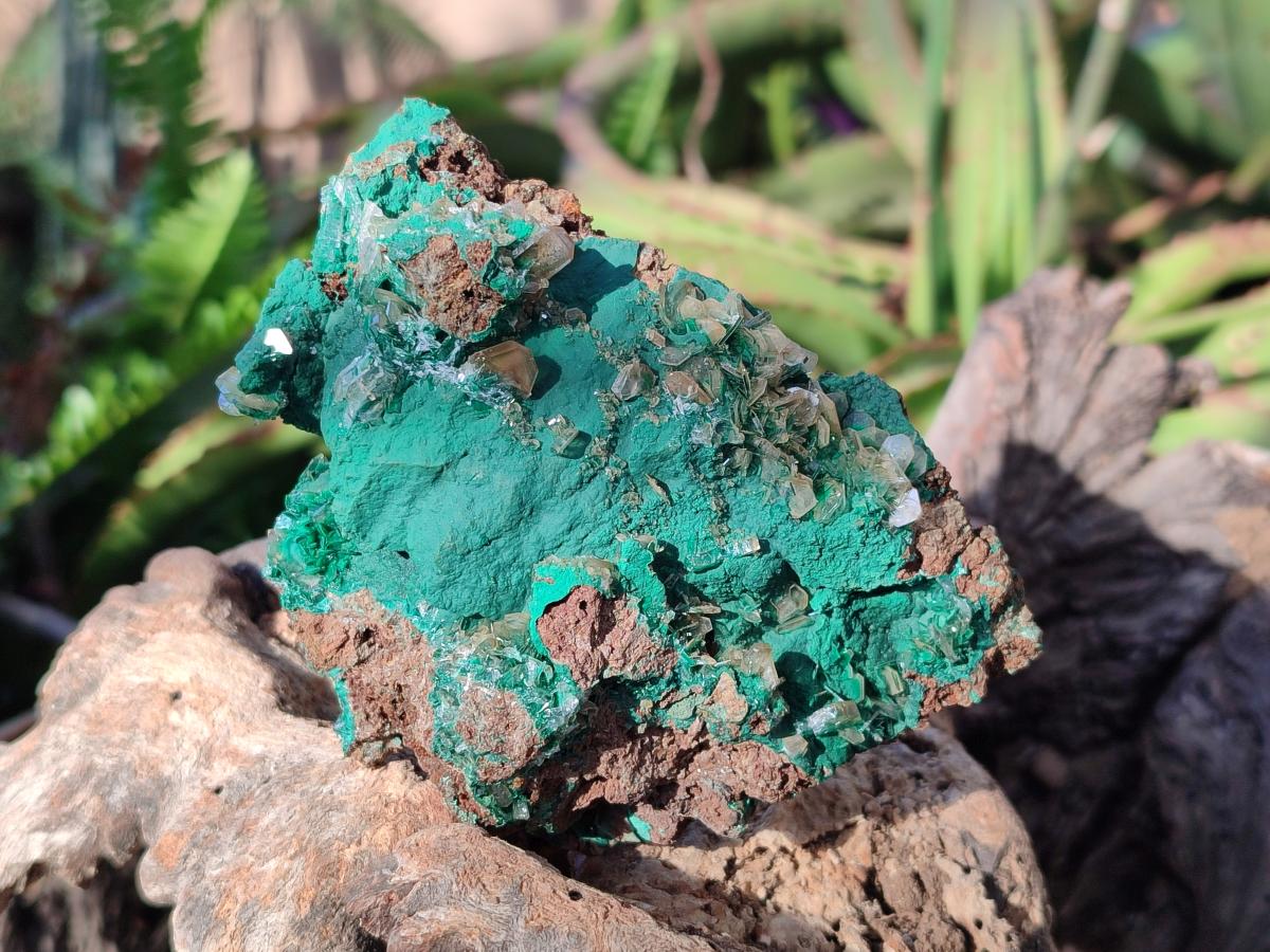 Natural Rare Bladed Barite Specimens with Malachite x 3 From Shangulowé Mine, Congo - Toprock Gemstones and Minerals 