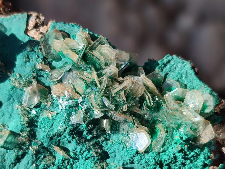 Natural Rare Bladed Barite Specimens with Malachite x 3 From Shangulowé Mine, Congo - Toprock Gemstones and Minerals 