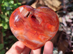 Polished Carnelian Agate Gemstone Hearts x 6 From Madagascar - Toprock Gemstones and Minerals 