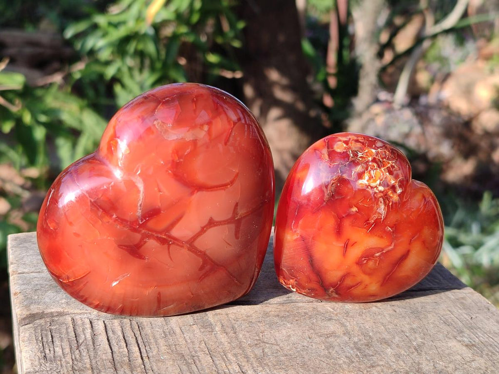 Polished Carnelian Agate Gemstone Hearts x 6 From Madagascar - Toprock Gemstones and Minerals 