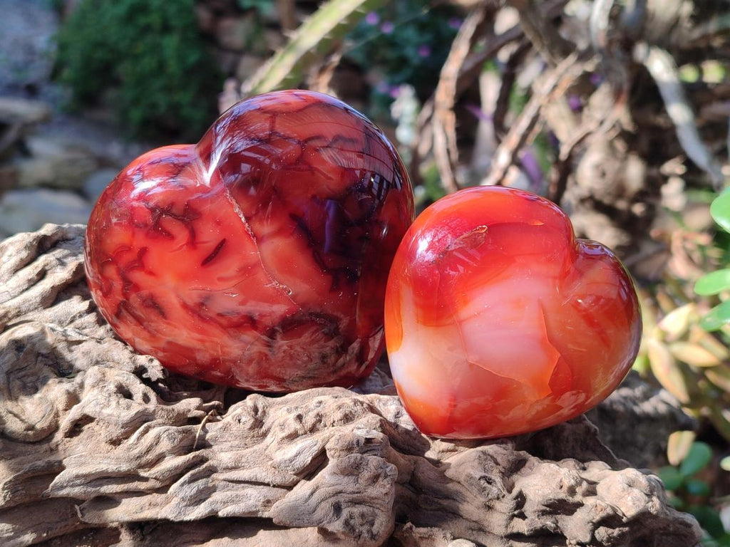 Polished Carnelian Agate Gemstone Hearts x 6 From Madagascar - Toprock Gemstones and Minerals 