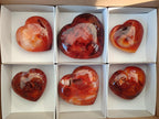 Polished Carnelian Agate Gemstone Hearts x 6 From Madagascar - Toprock Gemstones and Minerals 