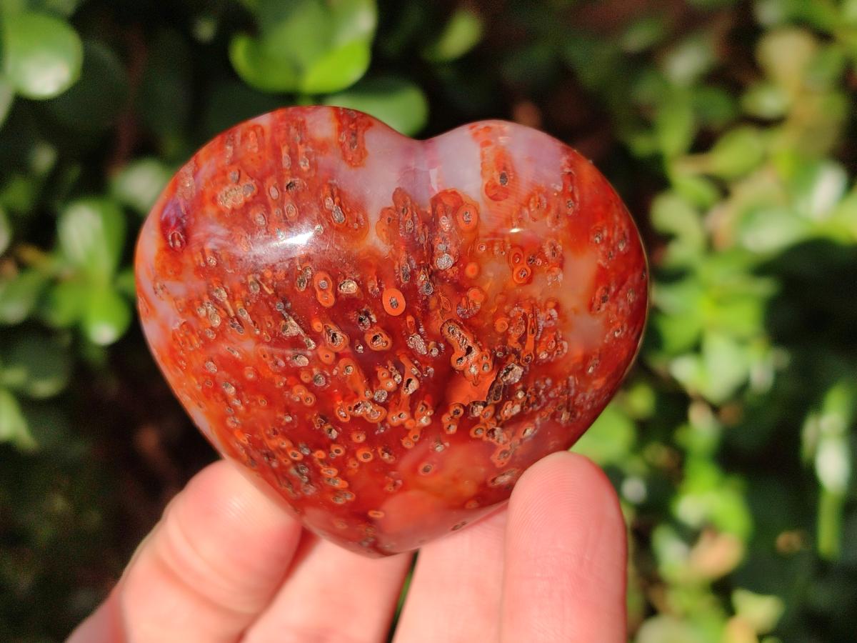 Polished Carnelian Agate Gemstone Hearts x 6 From Madagascar - Toprock Gemstones and Minerals 