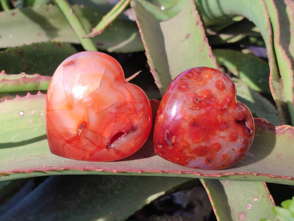 Polished Carnelian Agate Gemstone Hearts x 6 From Madagascar - Toprock Gemstones and Minerals 