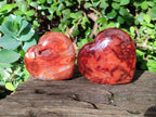 Polished Carnelian Agate Gemstone Hearts x 6 From Madagascar - Toprock Gemstones and Minerals 