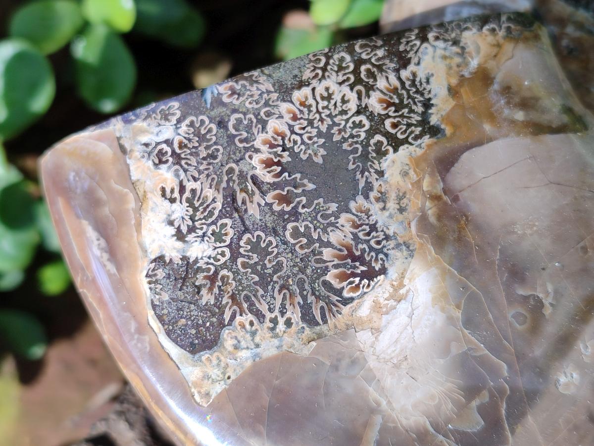 Polished Large Red Ammolite Cleoniceras Opalized Ammonite Fossil x 1 From Tulear, Madagascar - Toprock Gemstones and Minerals 