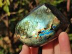 Polished Labradorite Standing Display Pieces x 6 From Madagascar - Toprock Gemstones and Minerals 