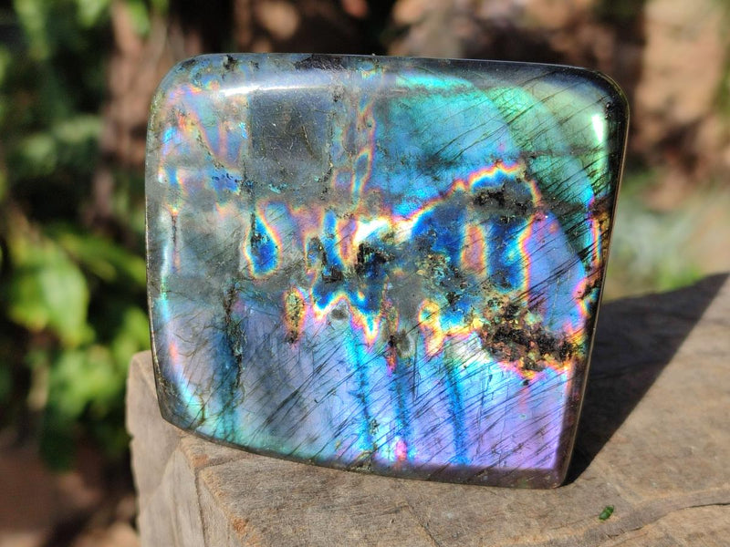 Polished Labradorite Standing Display Pieces x 6 From Madagascar - Toprock Gemstones and Minerals 